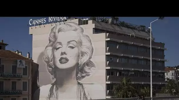 Cinéma : Cannes exilé sur le net, le septième art à l'heure du Covid
