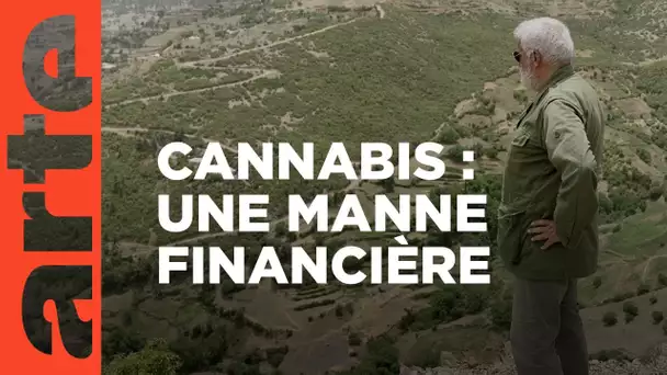 Maroc : les nouveaux rois du Rif | ARTE Reportage