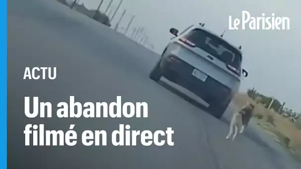 Ce chien court après la voiture de son maître qui vient de l'abandonner, avant d'être sauvé
