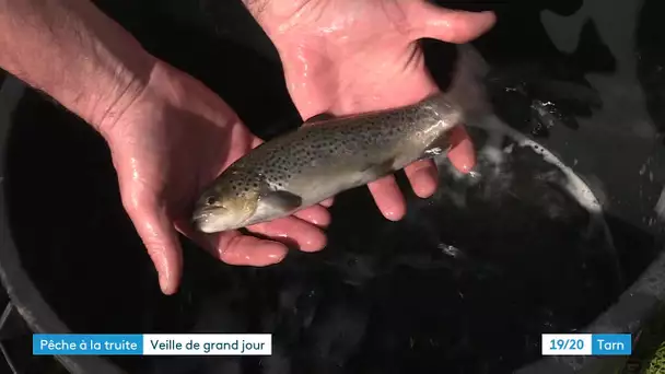 Tarn : bientôt l'ouverture de la pêche à la truite