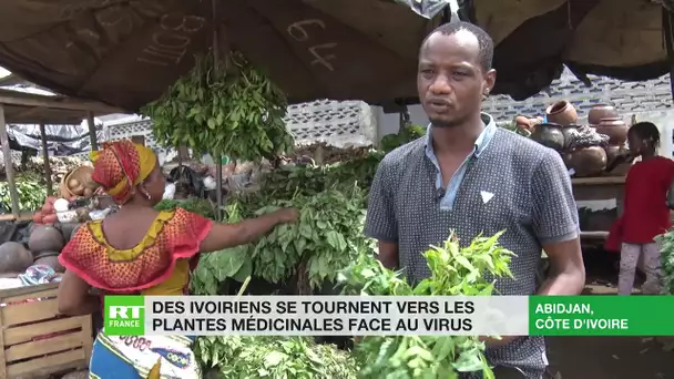Face au Covid-19, des Ivoiriens se tournent vers les plantes médicinales