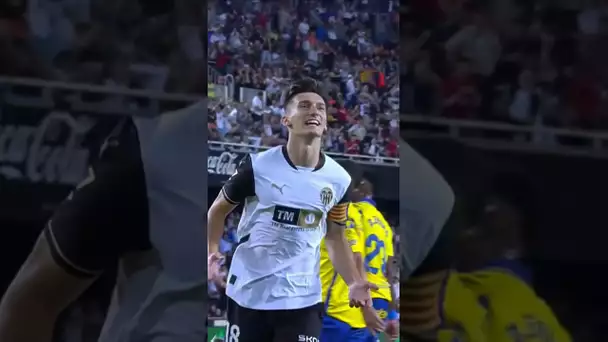 Captain PEPELU 🦇
