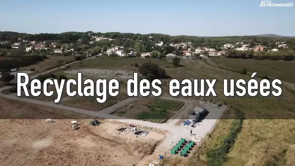 Recycler les eaux usées à moindre coût pour un usage agricole