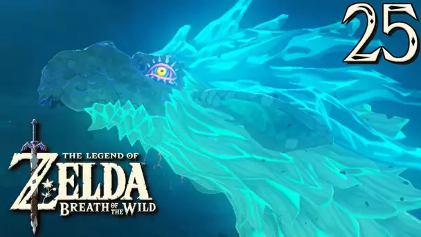 Zelda Breath of the Wild #25 : NEDRAC, DRAGON DE LANELLE !