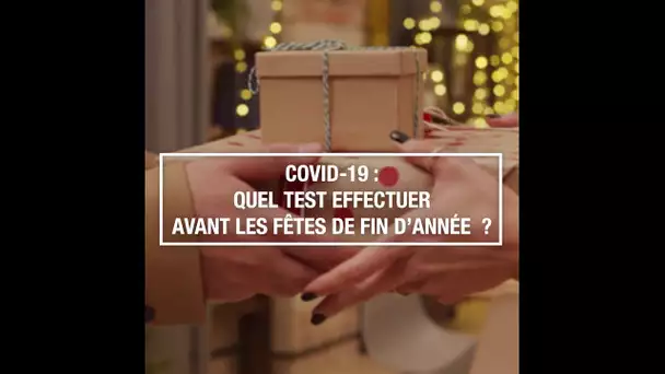 Covid-19 : quel test effectuer avant les fêtes de fin d’année ?