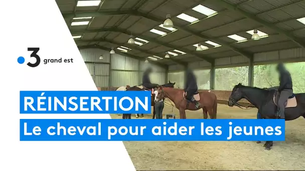 Ardennes : à Mouzon, comment le cheval aide à la réinsertion de mineurs délinquants
