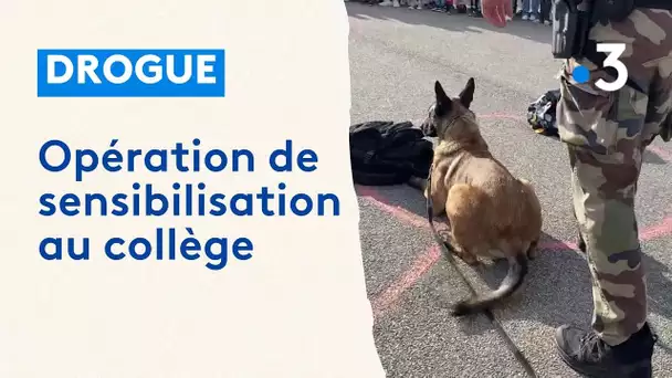 Stupéfiants : opération de sensibilisation à la drogue au collège à Valence-en-Poitou
