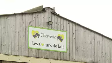 Portrait : ils fabriquent des savons au lait de chèvre