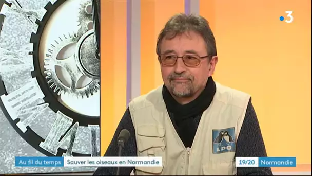 Les oiseaux : invité Richard Grège, bénévole de la LPO Normandie