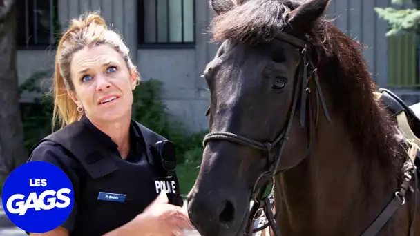 Le policier abandonne son cheval | Juste Pour Rire Les Gags