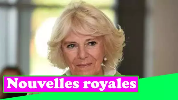 Pourquoi Camilla ne sera pas reine - bien qu'elle soit une "superbe duchesse"