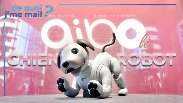 Nostalgeek : l'histoire du chien robot Aibo de Sony DQJMM (2/2)