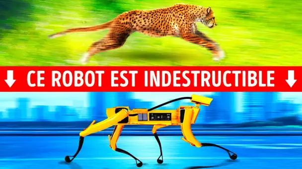 10 Robots étonnants inspirés d’animaux qui existent vraiment