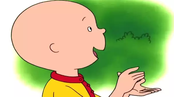 La Stupéfaction de Caillou | Caillou en Français