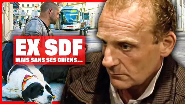 Ex sdf, il a trouvé un appartement... mais sans ses chiens