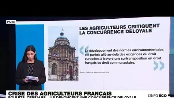 Poulets, céréales... Les agriculteurs français dénoncent une concurrence déloyale • FRANCE 24