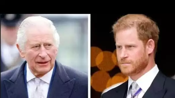 Le roi Charles est pressenti pour snober complètement le prince Harry dans son testament