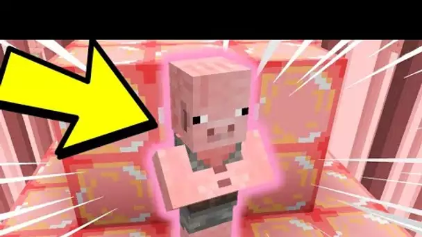 NOUVELLE *DIMENSION COCHON* DANS MINECRAFT ! (génial)