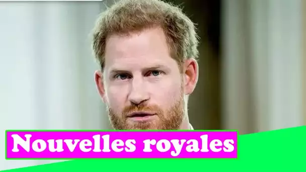 Le prince Harry utilise un service d'aéroport privé " somptueux et " ultra exclusif ")