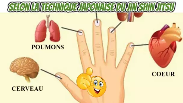 Vos doigts sont liés à vos organes, guérissez vos maladies avec cette méthode japonaise