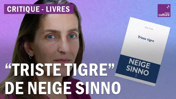 "Triste Tigre" de Neige Sinno, un choc littéraire renversant