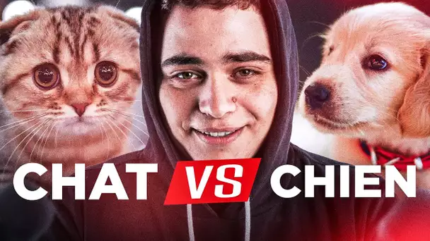 CHIENS vs CHATS, QUEL EST L'ANIMAL PRÉFÉRÉ DES FRANÇAIS ?