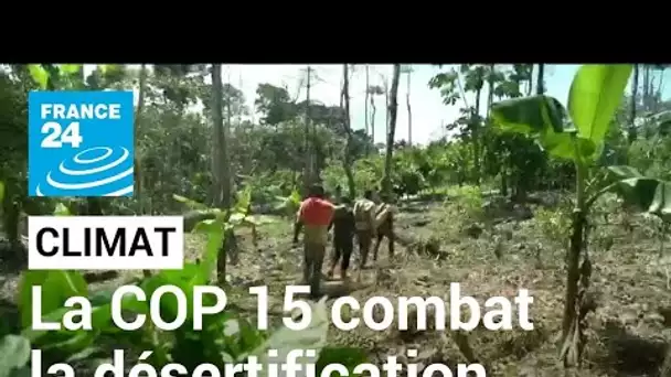 COP 15 : Abidjan, capitale mondiale de la lutte contre la désertification • FRANCE 24