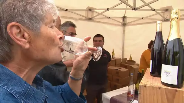 Sarthe : Salon des vins malgré une saison météo compliquée