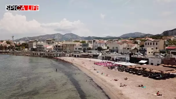 Écologie vs Béton : la guerre pour sauver le littoral