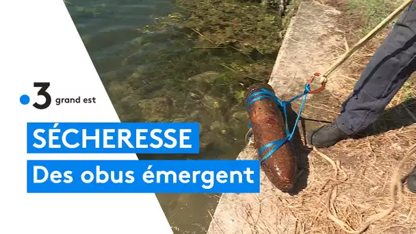 En raison de la sécheresse, des obus reapparaissent au fond des rivières à Verdun