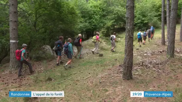 Hautes-Alpes : Les randonnées itinérantes "Retrouvance" affichent complet depuis 25 ans