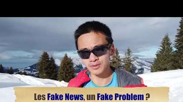 Les Fake News, un Fake Problem ?