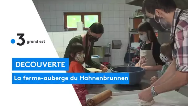 Découverte de la ferme-auberge du Hahnenbrunnen