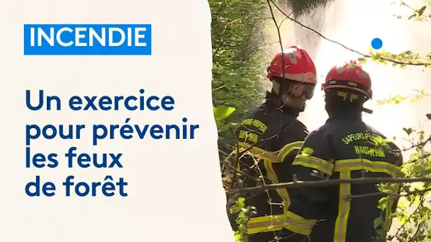Incendie : un exercice pour prévenir les feux de forêt