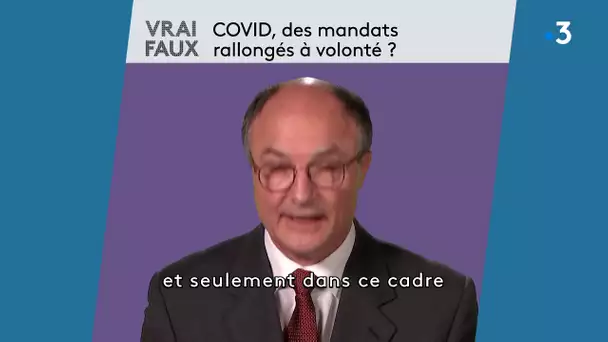 Vrai / Faux : Covid, des mandats rallongés à volonté ? Pascal Buléon répond à nos questions