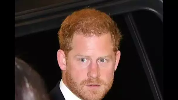 Le prince Harry insiste sur le fait que "personne ne veut être roi" dans une interview déterrée