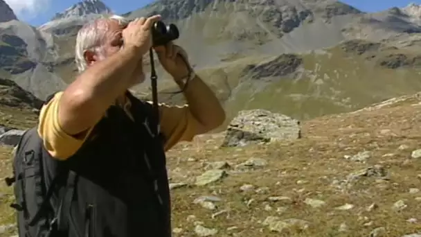 Randonnée nature dans le massif de la Vanoise