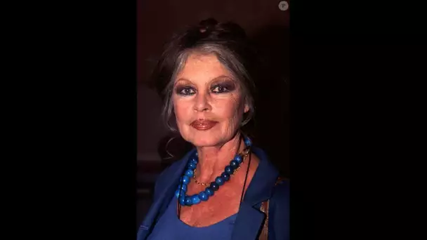 "C'est lamentable..." : Alain Delon soutenu par Brigitte Bardot, la star pousse un coup de gueule