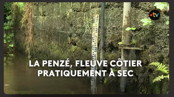 Dans le Finistère, la Penzé subit la sécheresse. L'association de pêche tire la sonnette d’alarme