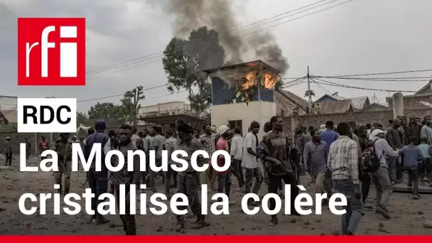 RDC: «La colère de l'opinion publique a évolué vers un sentiment anti-Monusco» • RFI