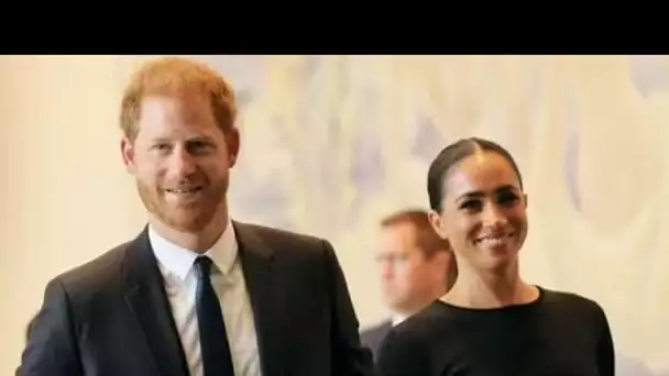 Harry et Meghan fustigés par Nigel Farage alors qu'il dit qu'ils "ne peuvent absolument pas être su