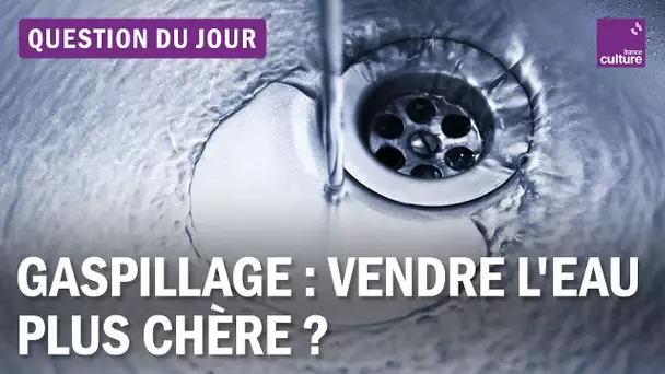 Pour lutter contre le gaspillage, l'eau doit-elle devenir plus chère ?