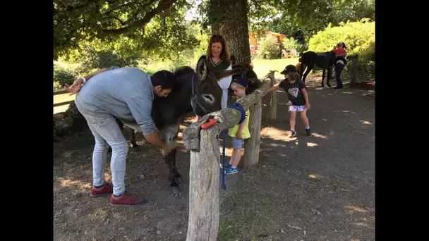 Ils murmurent à l&#039;oreille des ânes à Vassivière