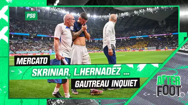 PSG : Skriniar, Lucas Hernandez, ces défenseurs qui inquiètent Gautreau