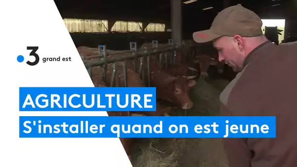 Agriculture : l'installation d'un jeune agriculteur de 24 ans