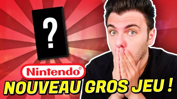 NINTENDO : UN NOUVEAU GROS JEU SURPRISE EN PRÉPARATION ! 🚨