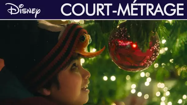 Disney - Court-métrage : Le garçon et le poulpe (VOST) | Disney