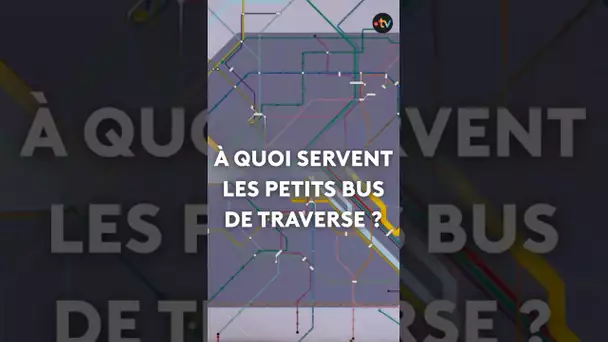 Parigo Express n°64 : à quoi servent les bus de Traverse ?