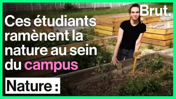 Un projet étudiant pour ramener la nature au sein du campus
