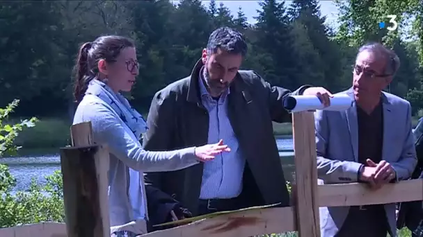 Biodiversité : la sauvegarde des mares à Gorre en Haute-Vienne